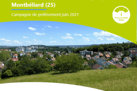 biosurveillance de la qualité de l'air