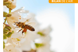 Rapport d'activité 2022