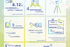 surveillance de l'ambroisie 